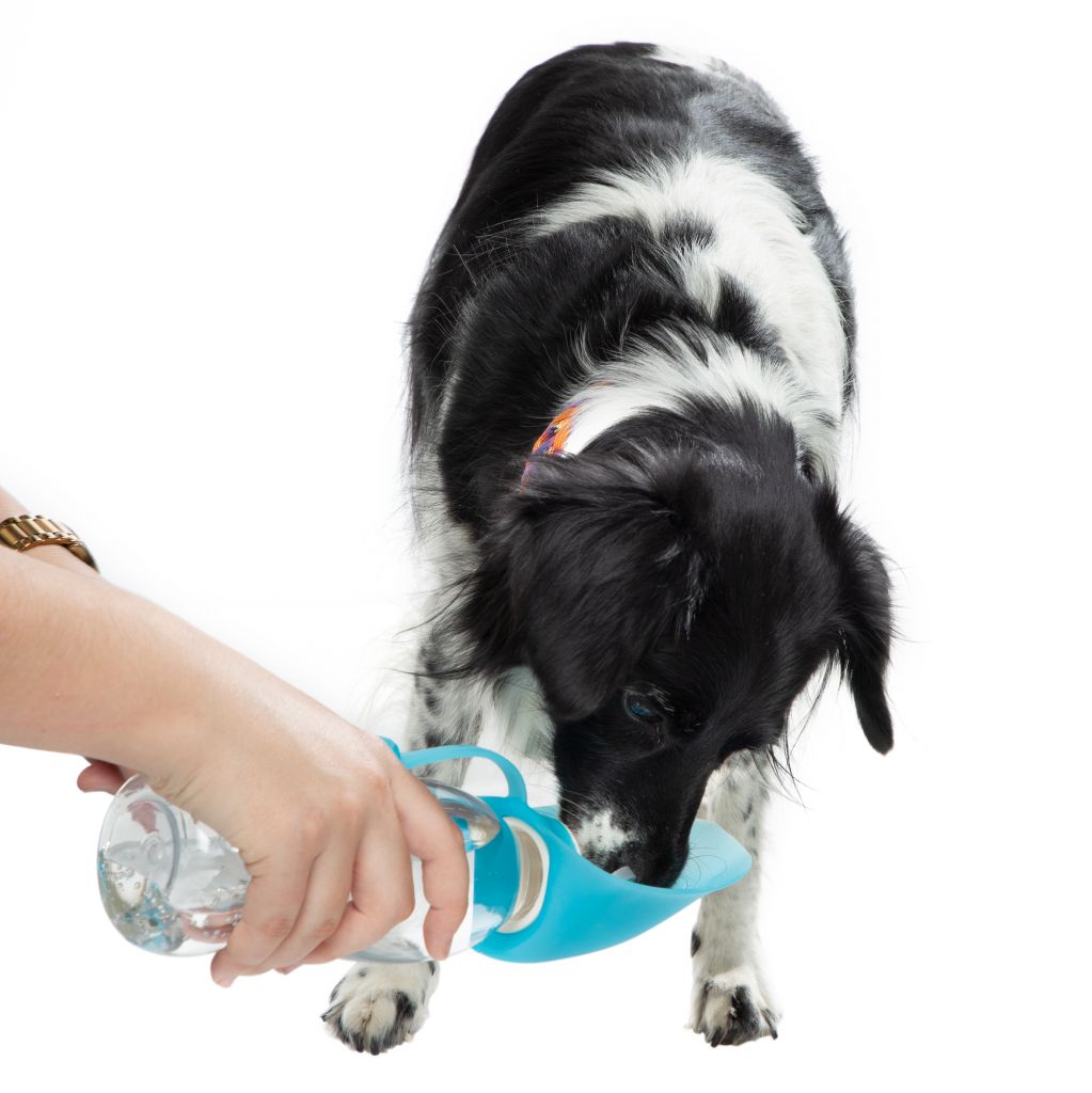 Trinkflasche für Hunde Anwendung