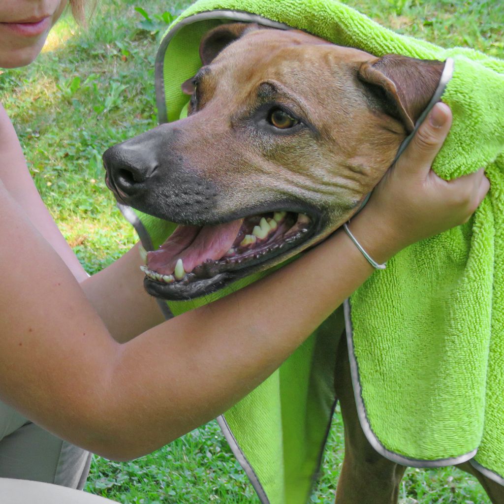 awiwa Hundehandtuch Pet Towel ~ 551/218
