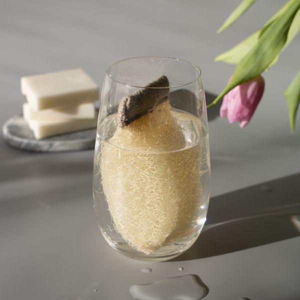 Clearo-Luffa-Schwamm-Ablage-fur-feste-Reiniger-jpeg