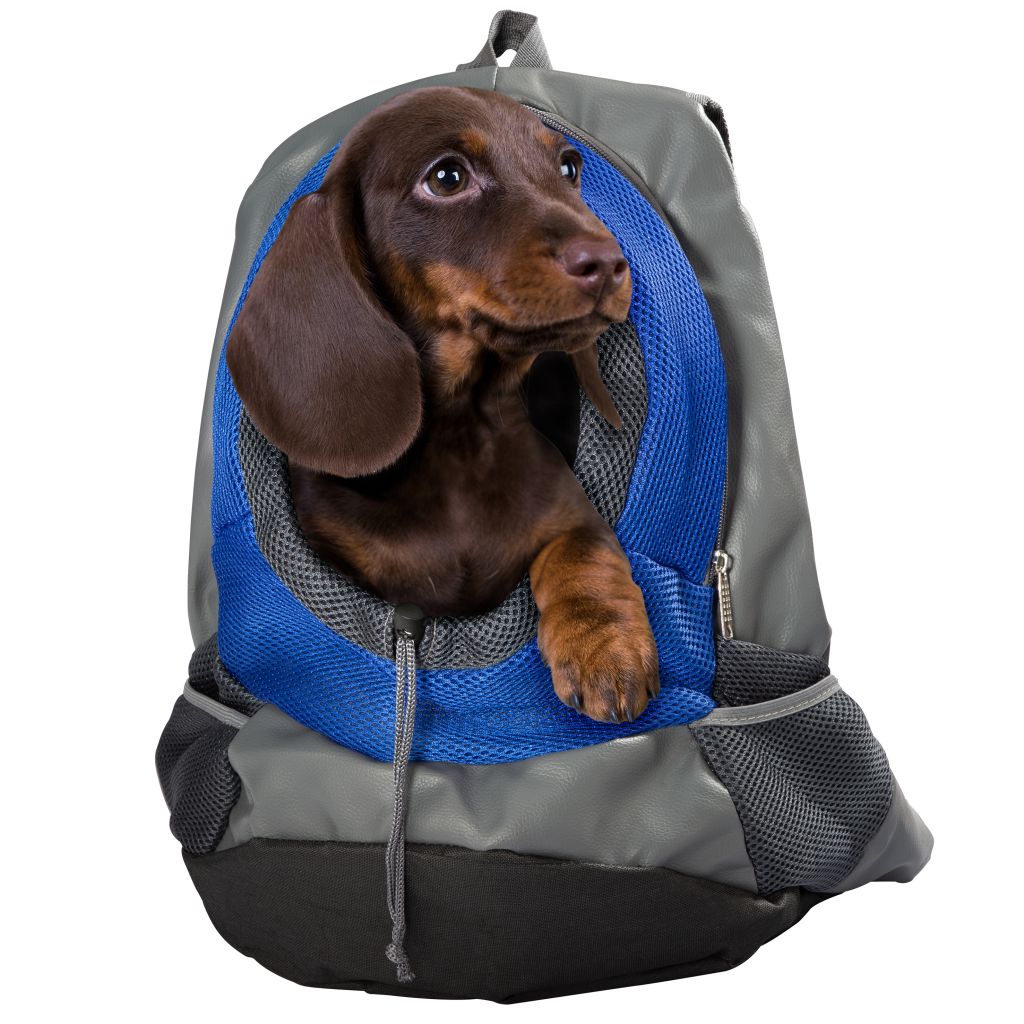 i+V D.Lübeck GmbH Rucksack für Hunde ~ 551/209