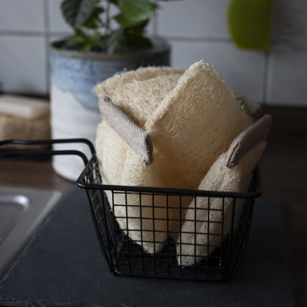 Clearo-Luffa-Schwamm-Ablage-fur-feste-Reiniger-jpegbbYRcGGmjM6dg