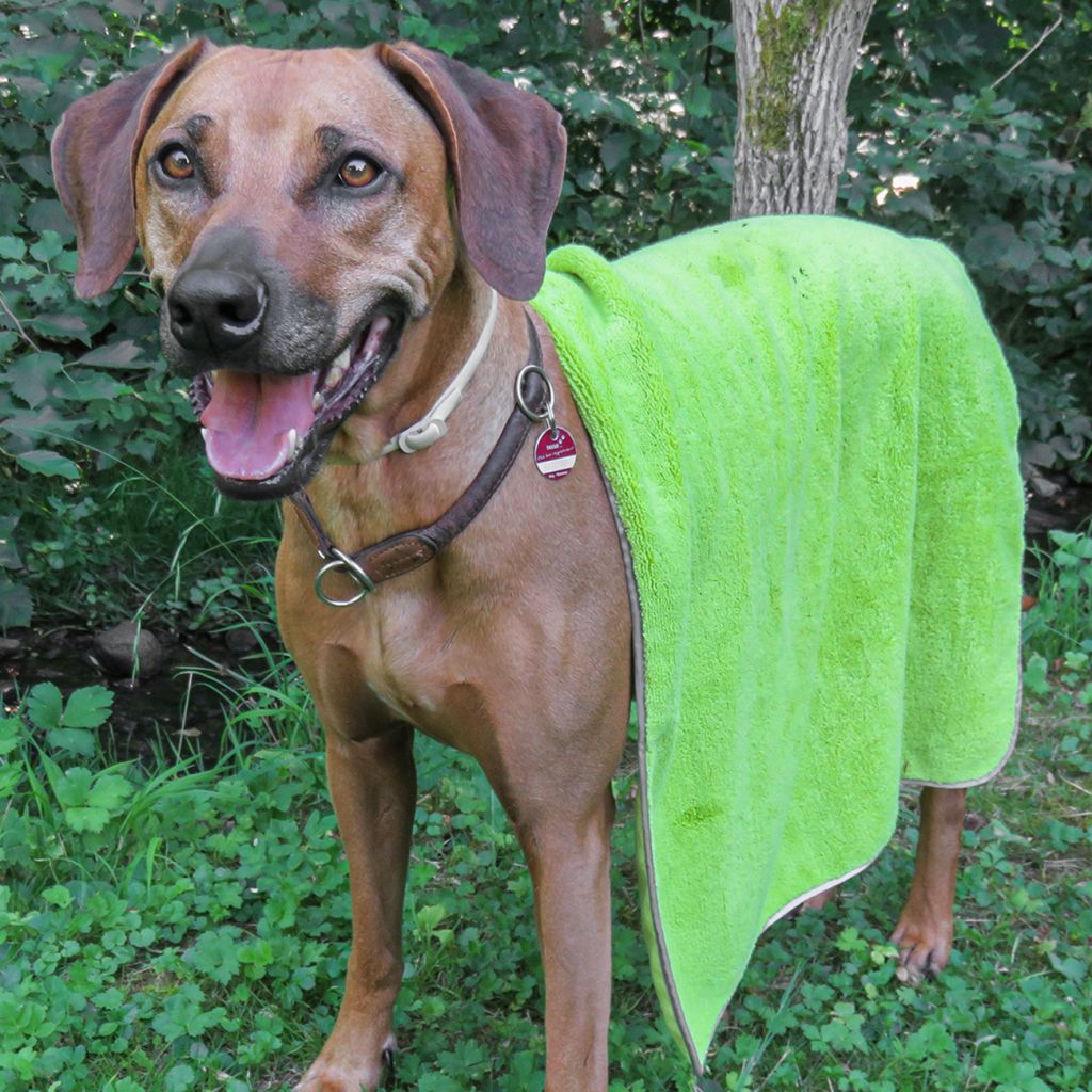 awiwa Hundehandtuch Pet Towel ~ 551/218
