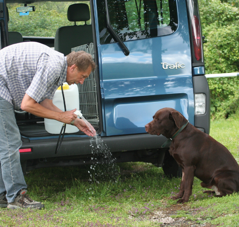 ...auch der Hund wird nicht vergessen